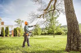 Best Tree Health Inspection  in Albemarle, NC
