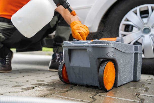 Best Stump Grinding and Removal  in Albemarle, NC